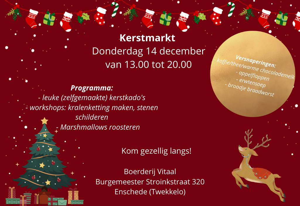 Kerstmarkt Centrum & Boerderij Vitaal