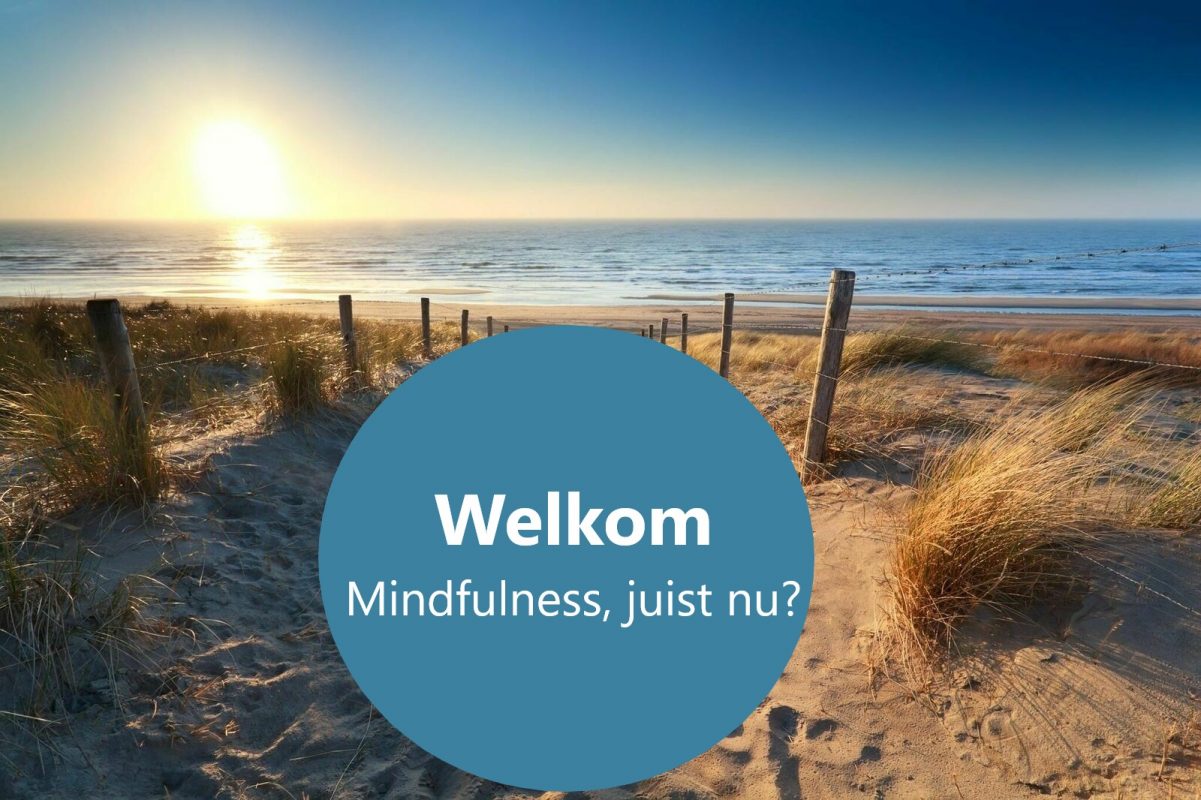 Mindfulness, helpt je veranderen
